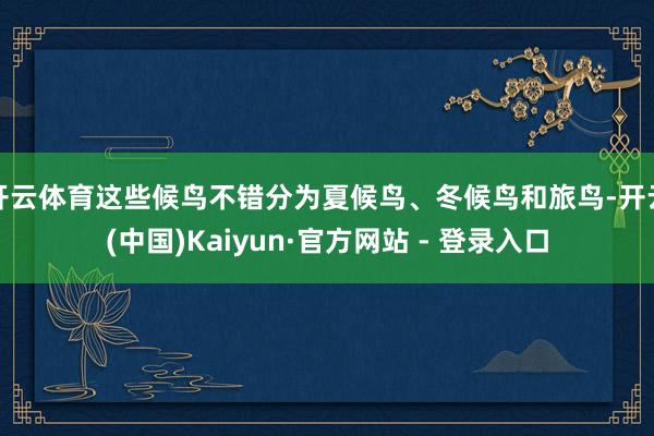 开云体育这些候鸟不错分为夏候鸟、冬候鸟和旅鸟-开云(中国)Kaiyun·官方网站 - 登录入口