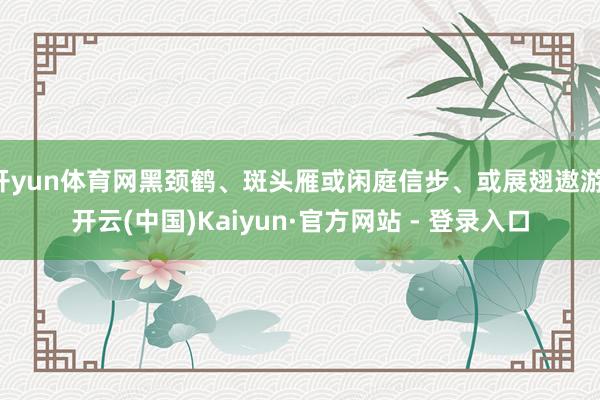 开yun体育网黑颈鹤、斑头雁或闲庭信步、或展翅遨游-开云(中国)Kaiyun·官方网站 - 登录入口