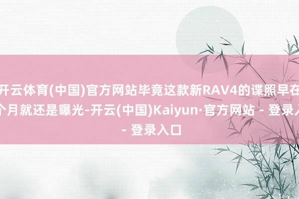 开云体育(中国)官方网站毕竟这款新RAV4的谍照早在上个月就还是曝光-开云(中国)Kaiyun·官方网站 - 登录入口