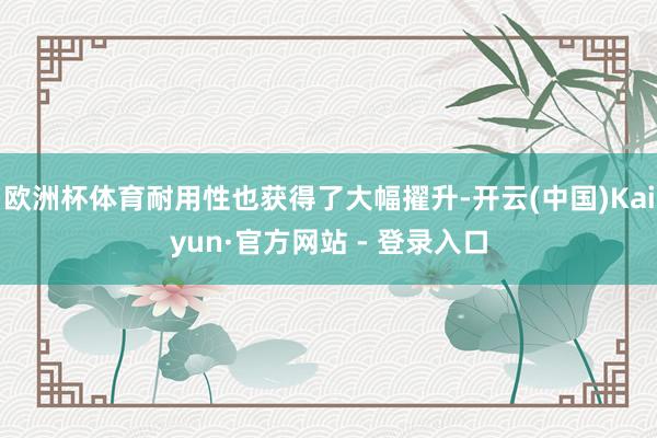 欧洲杯体育耐用性也获得了大幅擢升-开云(中国)Kaiyun·官方网站 - 登录入口