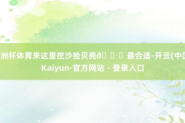 欧洲杯体育来这里挖沙捡贝壳🐚最合适-开云(中国)Kaiyun·官方网站 - 登录入口