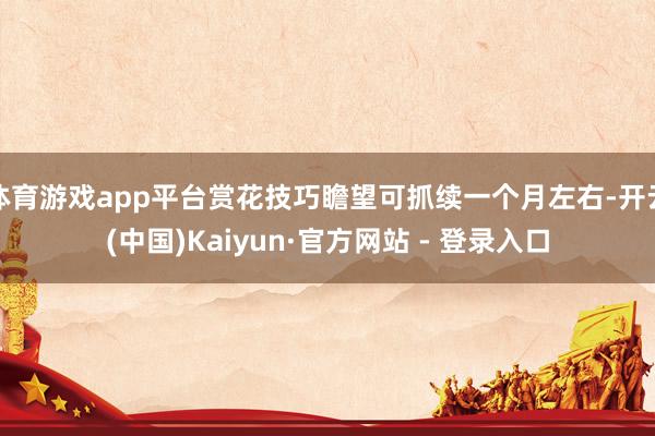 体育游戏app平台赏花技巧瞻望可抓续一个月左右-开云(中国)Kaiyun·官方网站 - 登录入口