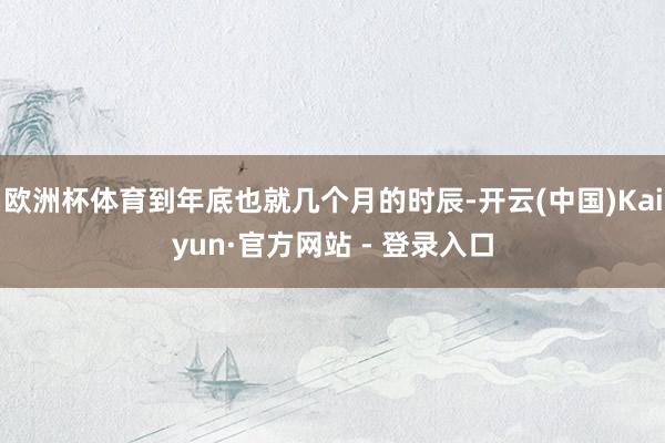 欧洲杯体育到年底也就几个月的时辰-开云(中国)Kaiyun·官方网站 - 登录入口
