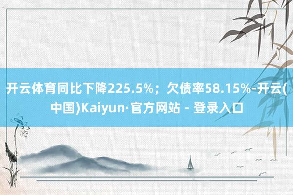 开云体育同比下降225.5%；欠债率58.15%-开云(中国)Kaiyun·官方网站 - 登录入口
