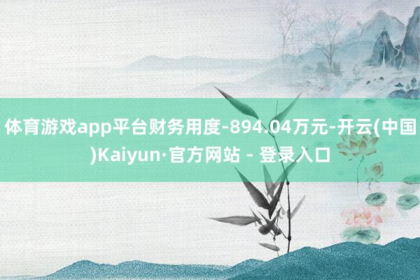 体育游戏app平台财务用度-894.04万元-开云(中国)Kaiyun·官方网站 - 登录入口
