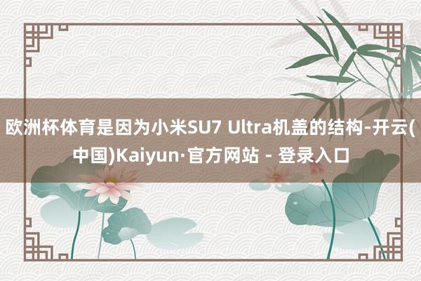 欧洲杯体育是因为小米SU7 Ultra机盖的结构-开云(中国)Kaiyun·官方网站 - 登录入口