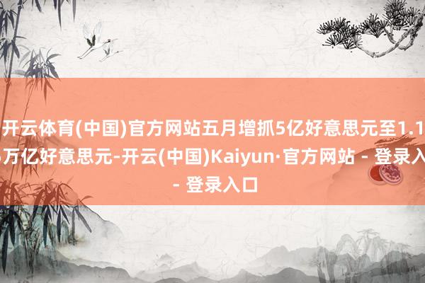 开云体育(中国)官方网站五月增抓5亿好意思元至1.135万亿好意思元-开云(中国)Kaiyun·官方网站 - 登录入口