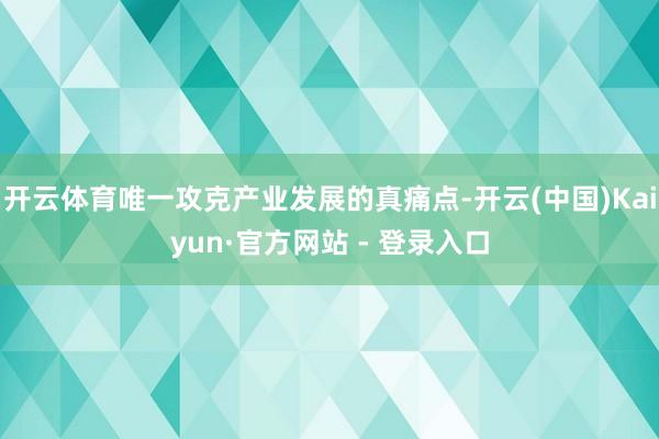 开云体育唯一攻克产业发展的真痛点-开云(中国)Kaiyun·官方网站 - 登录入口