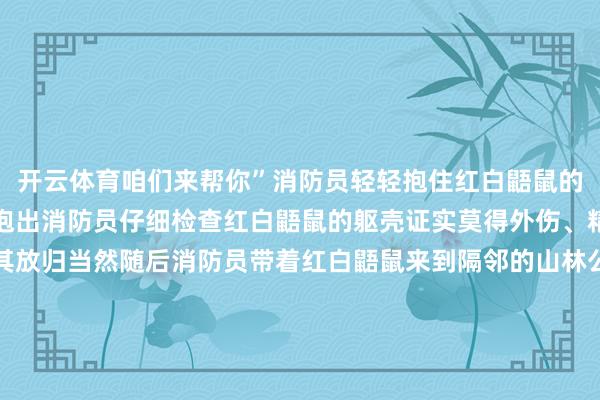 开云体育咱们来帮你”消防员轻轻抱住红白鼯鼠的躯壳胜利将它从楼谈中抱出消防员仔细检查红白鼯鼠的躯壳证实莫得外伤、精神现象细密后决定将其放归当然随后消防员带着红白鼯鼠来到隔邻的山林公园进行放生重大市民遭遇野活泼物时不要私自捏捕或驱赶应实时磋议相干部门处理既能保险自己安全也能给野活泼物提供专科救济让东谈主与当然谐和共处--【起原：遵义消防】-开云(中国)Kaiyun·官方网站 - 登录入口