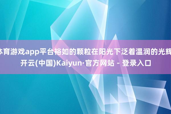 体育游戏app平台裕如的颗粒在阳光下泛着温润的光辉-开云(中国)Kaiyun·官方网站 - 登录入口