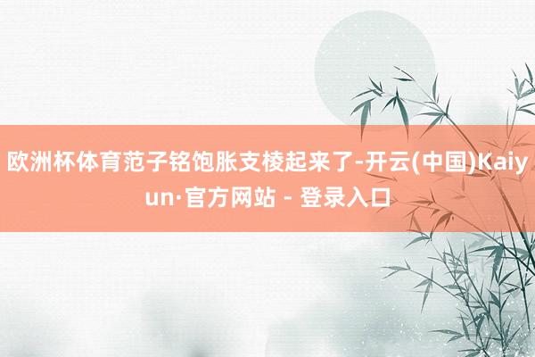 欧洲杯体育范子铭饱胀支棱起来了-开云(中国)Kaiyun·官方网站 - 登录入口