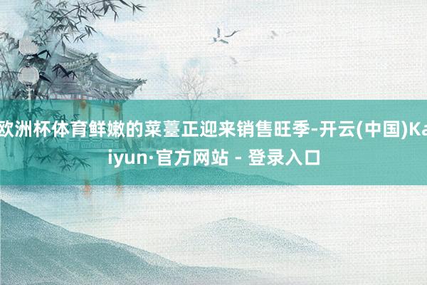 欧洲杯体育鲜嫩的菜薹正迎来销售旺季-开云(中国)Kaiyun·官方网站 - 登录入口
