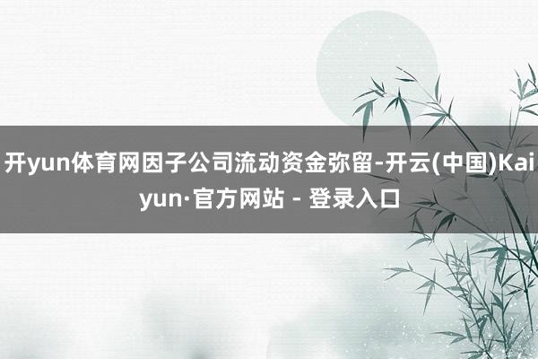 开yun体育网因子公司流动资金弥留-开云(中国)Kaiyun·官方网站 - 登录入口