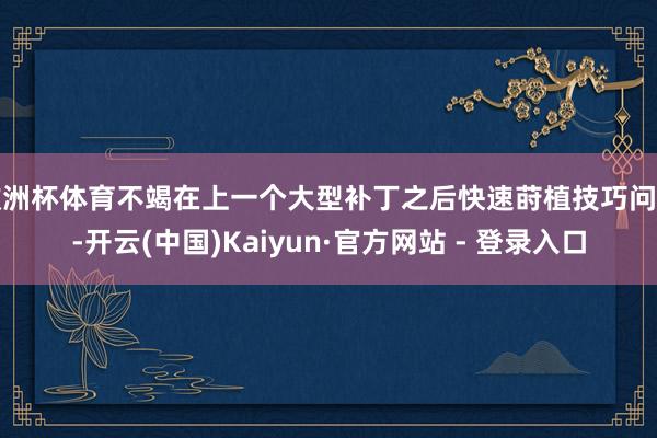 欧洲杯体育不竭在上一个大型补丁之后快速莳植技巧问题-开云(中国)Kaiyun·官方网站 - 登录入口