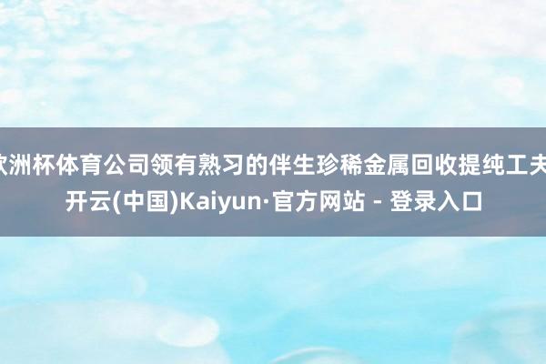 欧洲杯体育公司领有熟习的伴生珍稀金属回收提纯工夫-开云(中国)Kaiyun·官方网站 - 登录入口