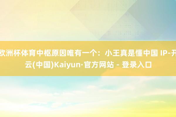 欧洲杯体育中枢原因唯有一个：小王真是懂中国 IP-开云(中国)Kaiyun·官方网站 - 登录入口
